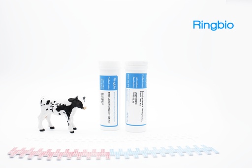 [RB100003] Beta-Lactamase Rapid Test